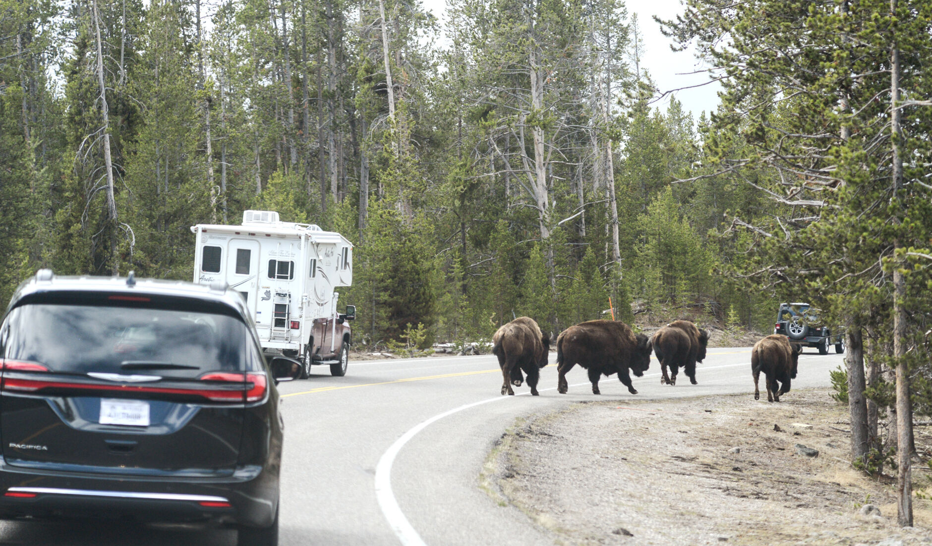 Yellowstone National Park File